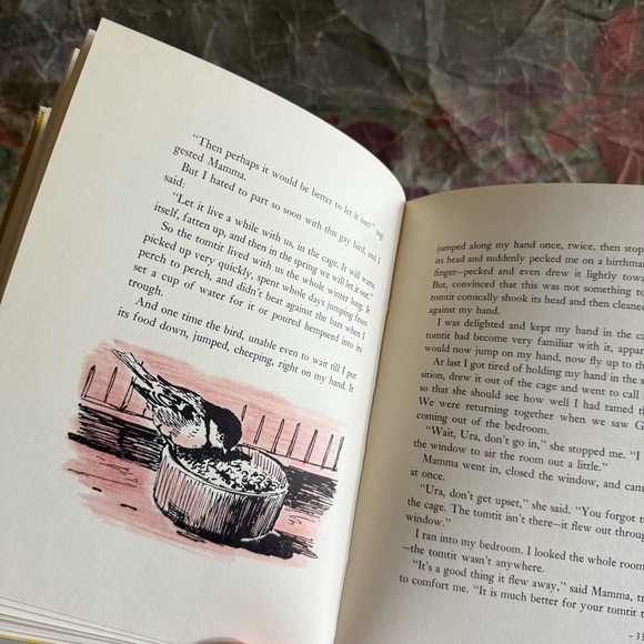 1967 Forest Echo by G.A. Skrebitski Children’s Book - Picture 5 of 7